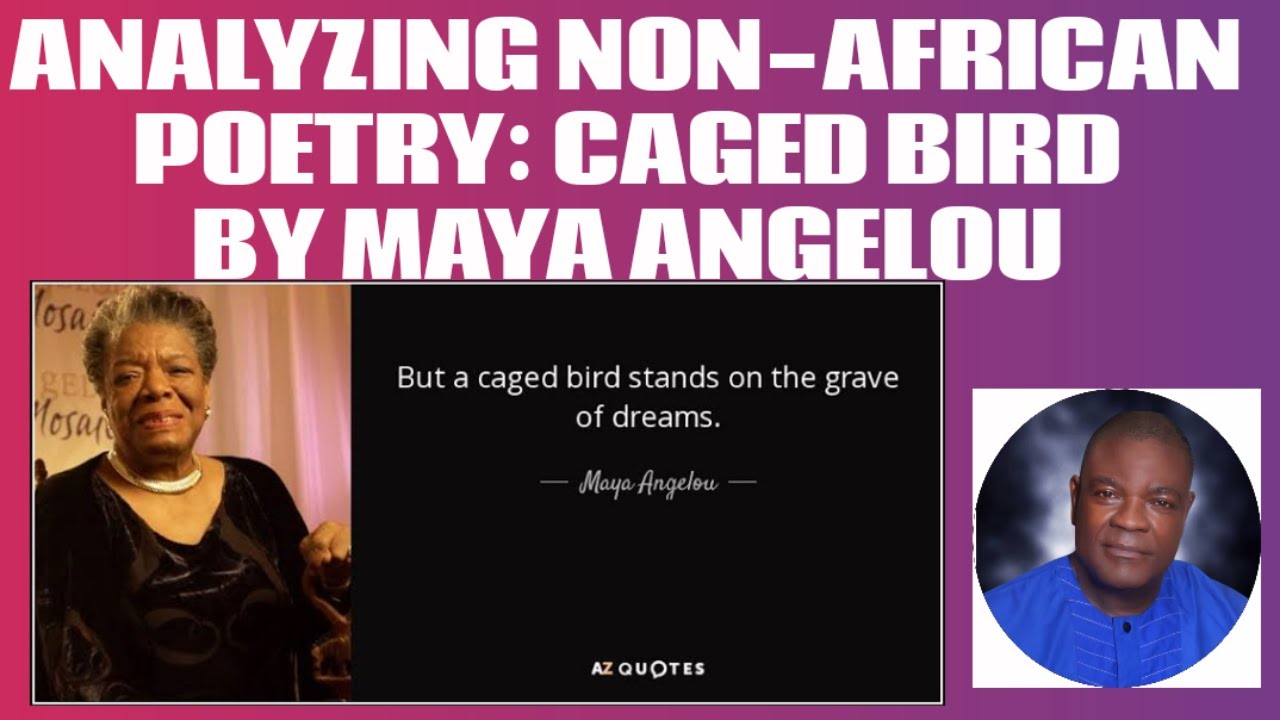 ANALYZING NON-AFRICAN POETRY: CAGED BIRD BY MAYA ANGELOU