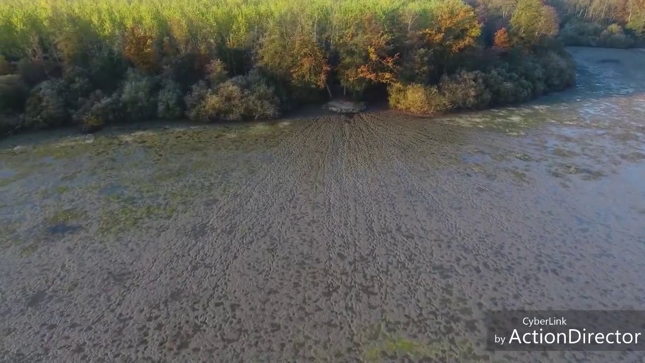 Brocard French Carp Lake - Aerial View Of Netting