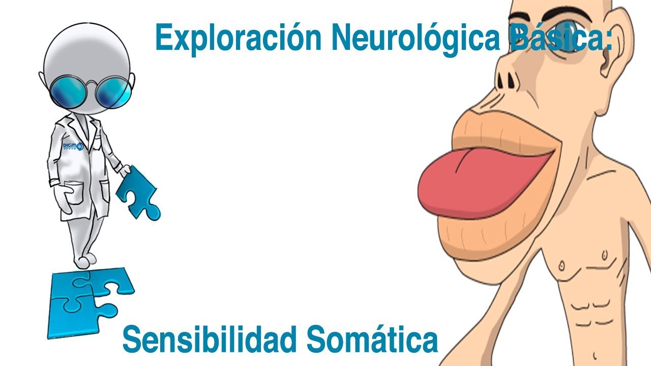 Exploraci&oacute;n Neurol&oacute;gica B&aacute;sica - Sensibilidad Som&aacute;tica