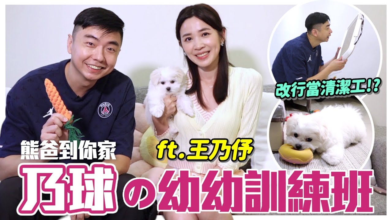 熊爸到你家Ep.14｜乃球の幼幼訓練班！幼犬飼料要泡軟？狂咬手腳停不下來！一上車就呻吟怎麼辦？ft.王乃伃｜@熊爸估狗dogtrainer