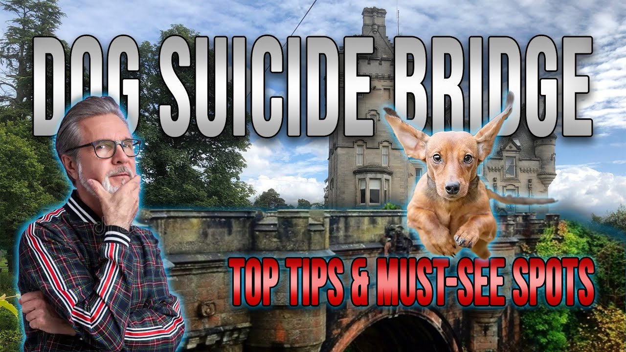 Unveiling the Mystery of Dog Suicide Bridge - Must-Know Tips & Top Things to Do