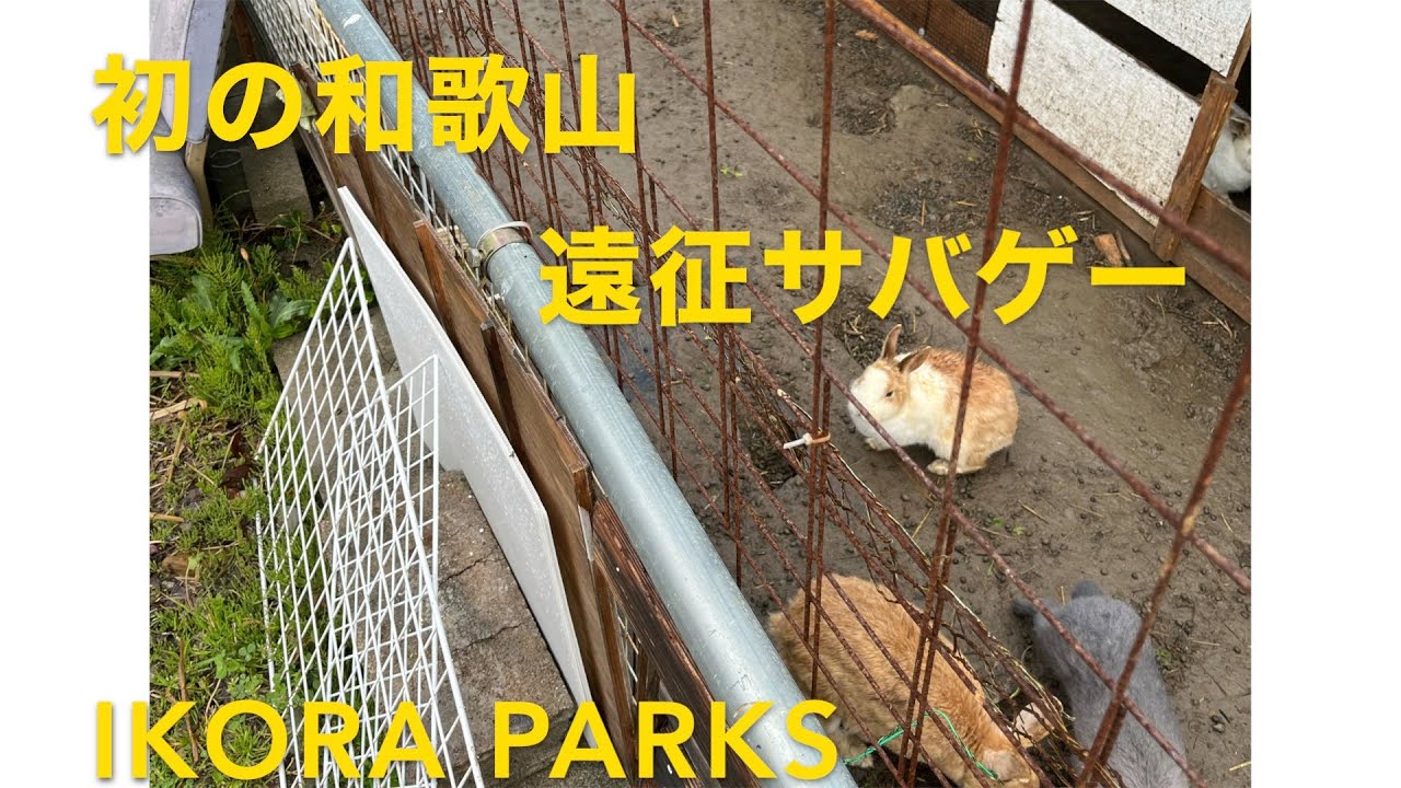 IKORA PARKS 20250316 【サバゲー】