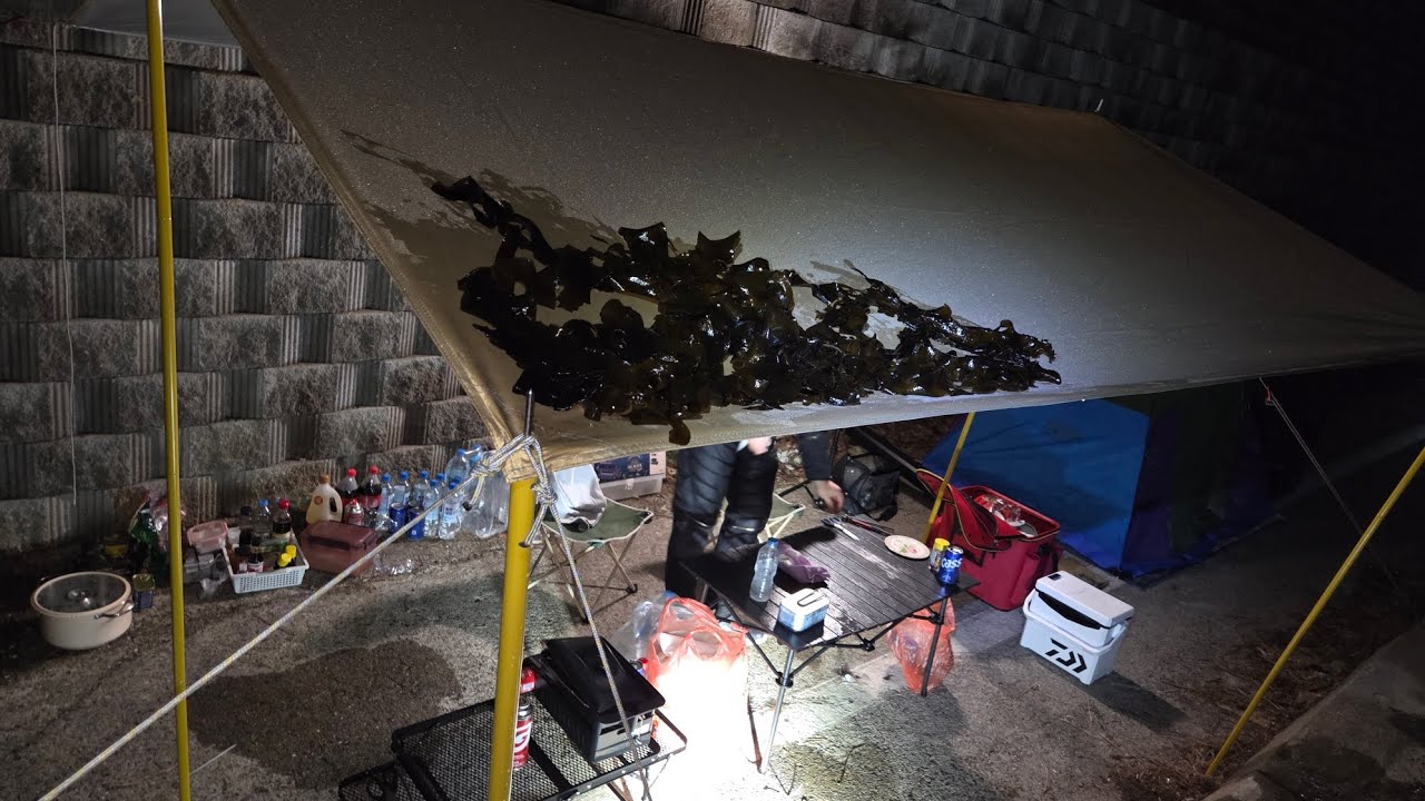 부산아재낚시 2026.3. 욕지도 볼락 캠핑낚시