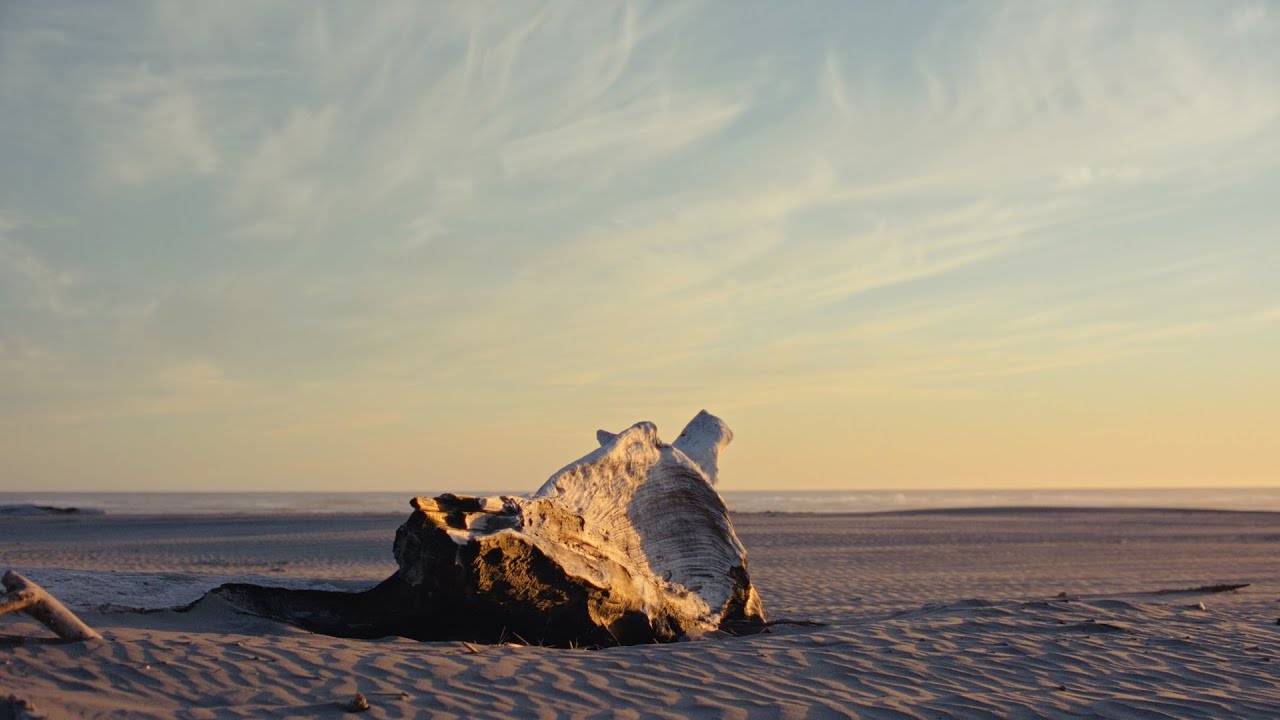 And Then The Sand We Sink In
