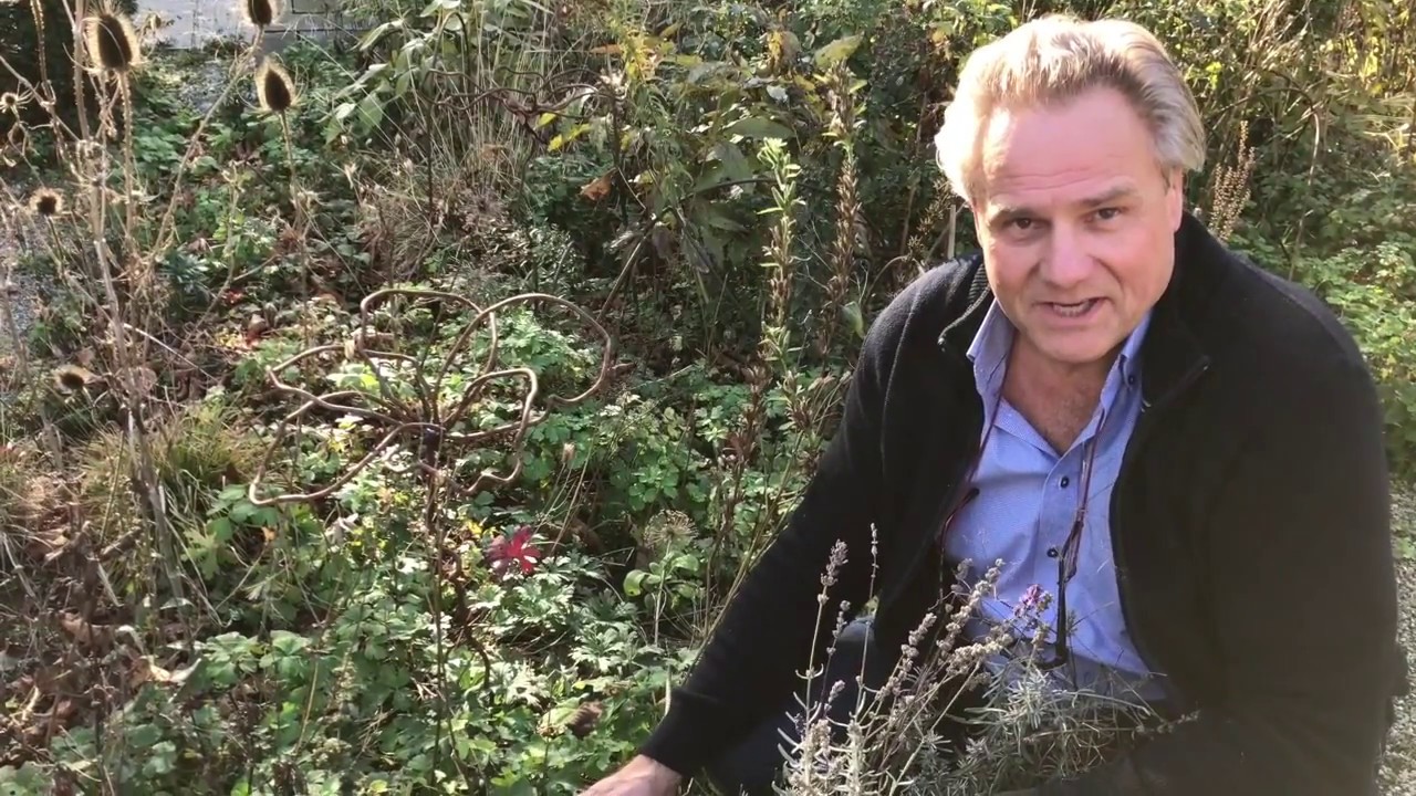 17 Das Besondere am Naturgarten