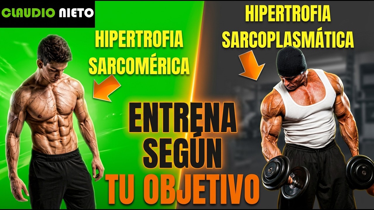 Hipertrofia Sarcomérica y Sarcoplasmática, DESCUBRE el TIPO DE CRECIMENTO MUSCULAR que te conviene💪