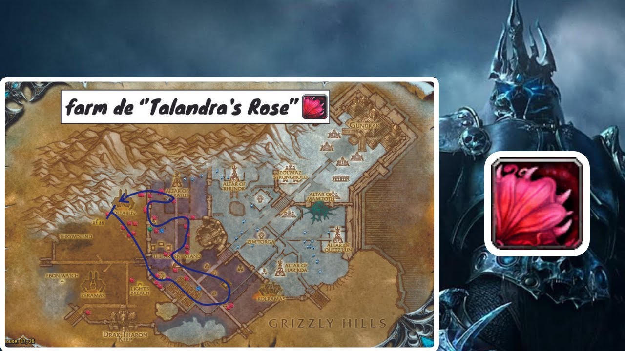 FARM DE TALANDRA'S ROSE – WARMANE