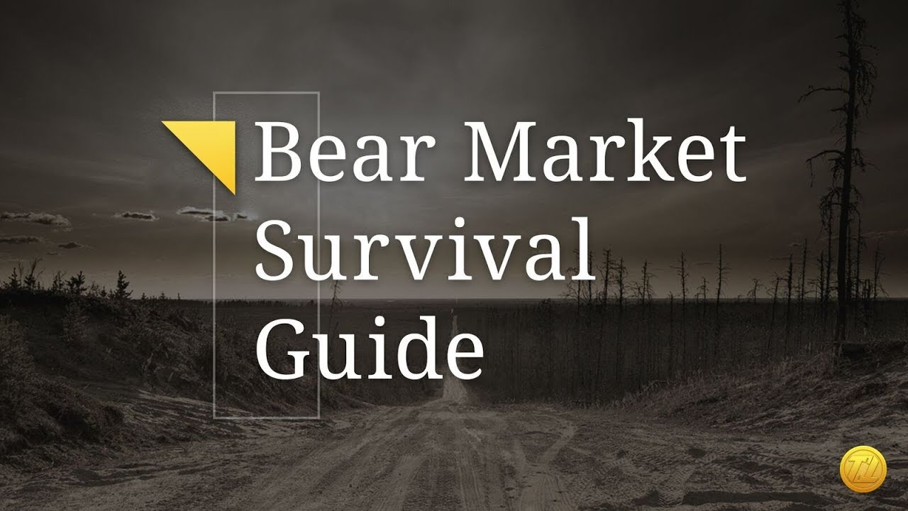 Bear Market Survival Guide Webinar