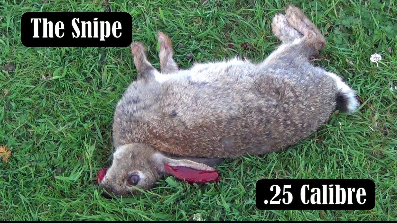 The Snipe  25 Calibre (HD)
