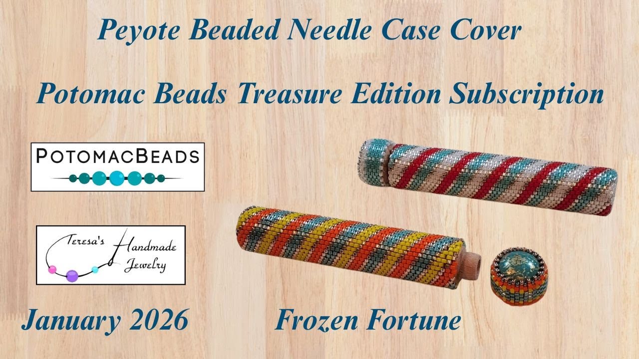 Peyote Beaded Needle Case Cover | Potomac Beads Treasure Edition Subscription | 01/26 Frozen Fortune