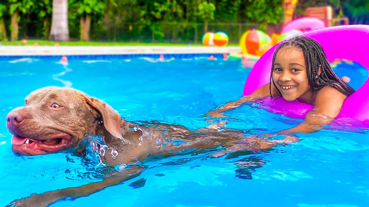 Dog SAVES GIRL IN THE POOL, What Happens Is SHOCKING | FamousTubeFamily