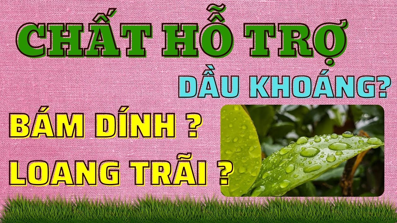 Chất bám dính là gì? Chất loang trãi là gì? Dầu khoáng là bám dính hay loang trãi? Sử dụng khi nào?