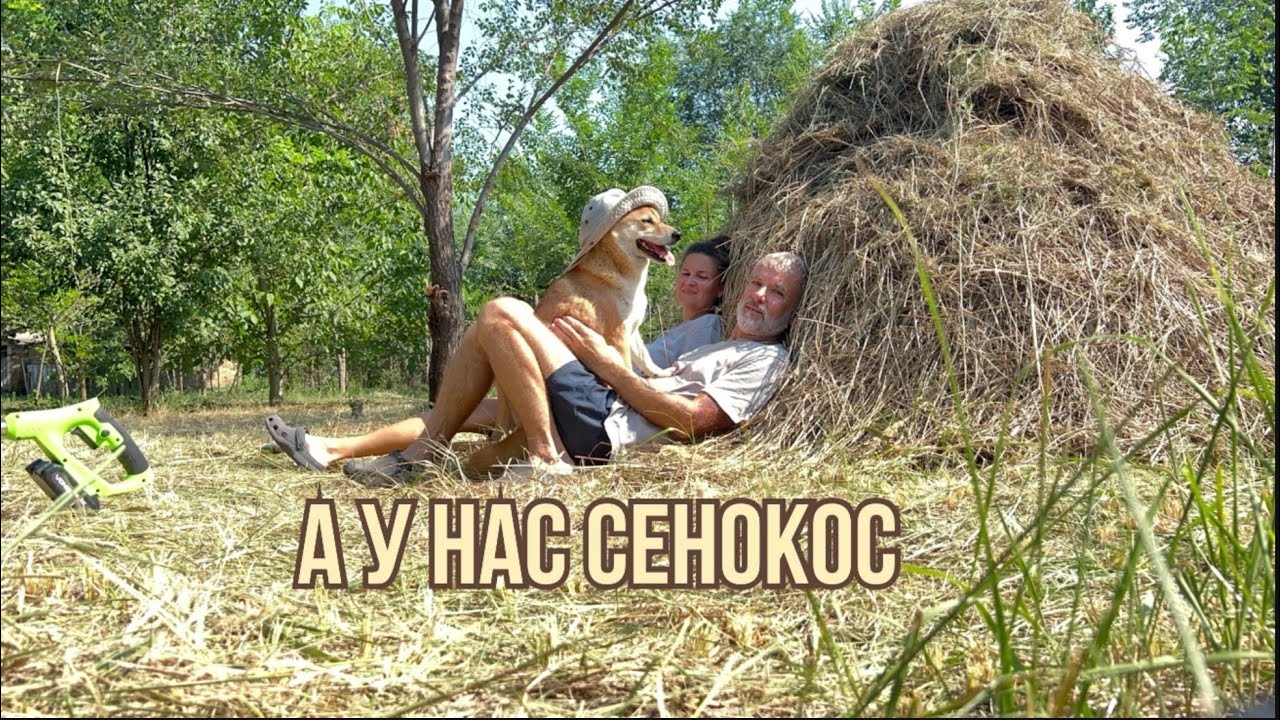 Сенокос и шашлыки #переездвсербию #жизньзаграницей #покупканедвижимости #жизньвсербии #ремонт