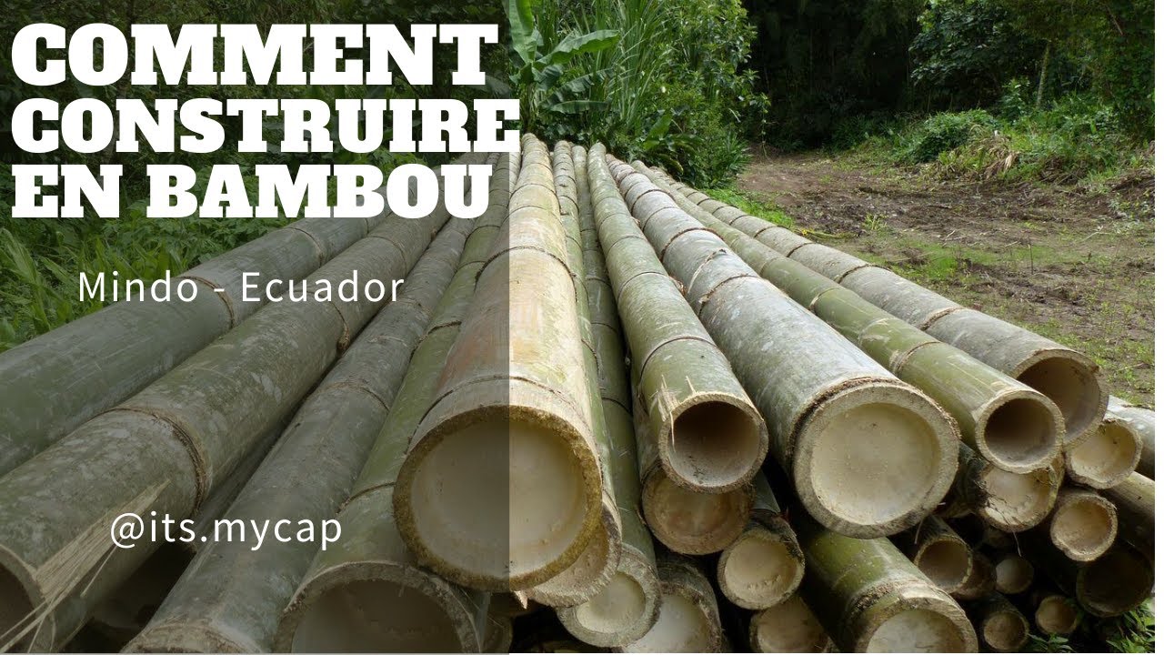 Comment assembler du Bambou dans la construction avec tips au RDV !!
