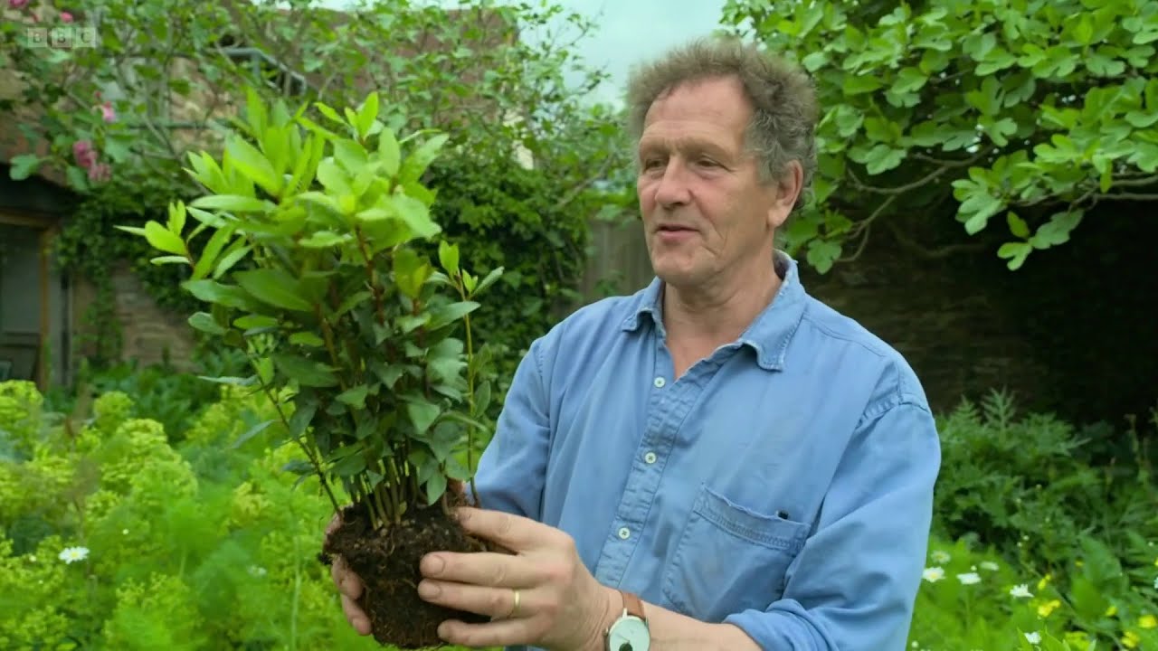 Gardeners' World 2024🍀Episode 19