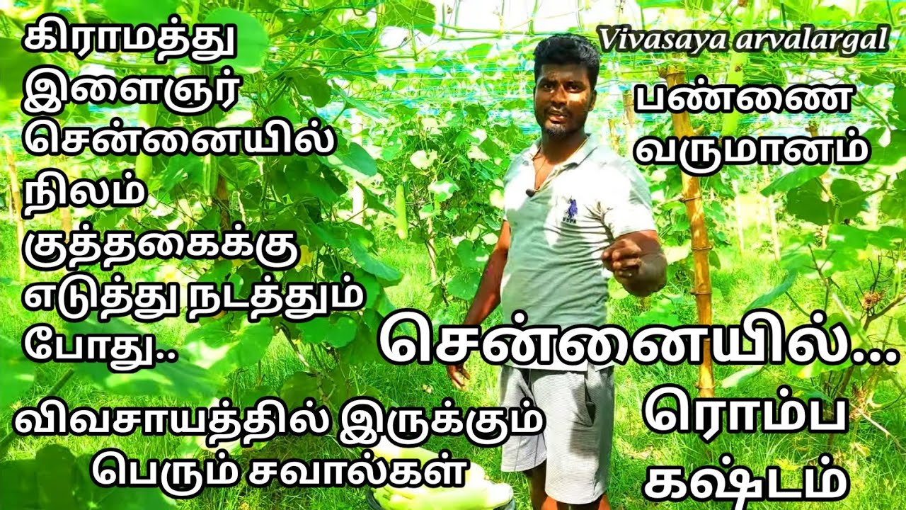 சென்னை இளம் விவசாயி|இளம் விவசாயின் ஆதங்கம்|விவசாயத்தில் இருக்கும் கஷ்டங்கள்|#விவசாயம்#farmwork#cows