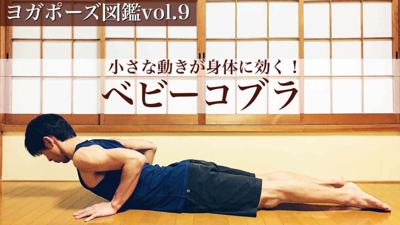 【ヨガポーズ図鑑vol.9：ベビーコブラ】小さな動きで身体の使い方が上手になる