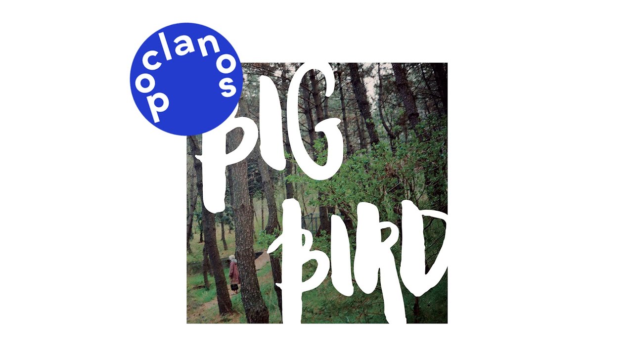[Official Audio] 다린 (Darin) - 큰새 (Big Bird)