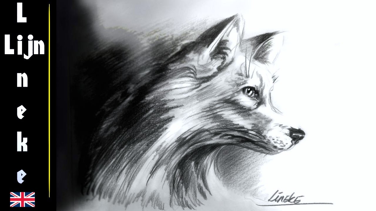 Easy FOX for beginners graphite pencil drawing