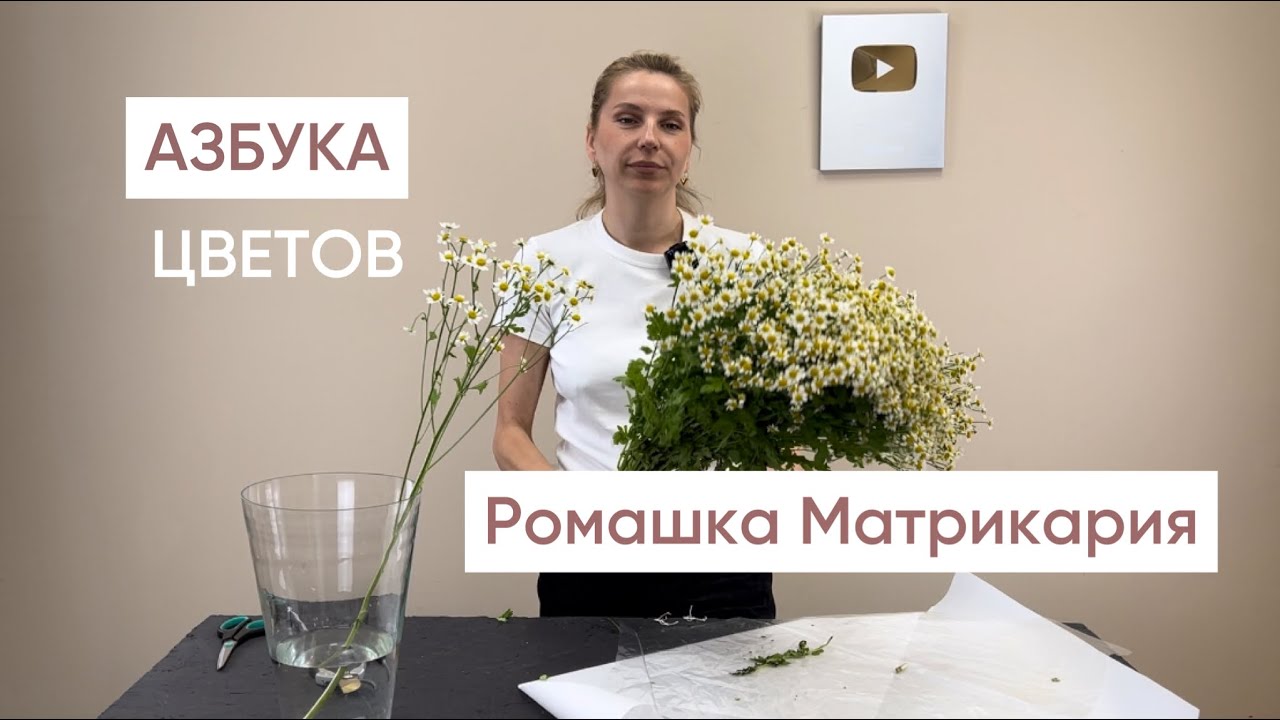 АЗБУКА ЦВЕТОВ. РОМАШКА МАТРИКАРИЯ.