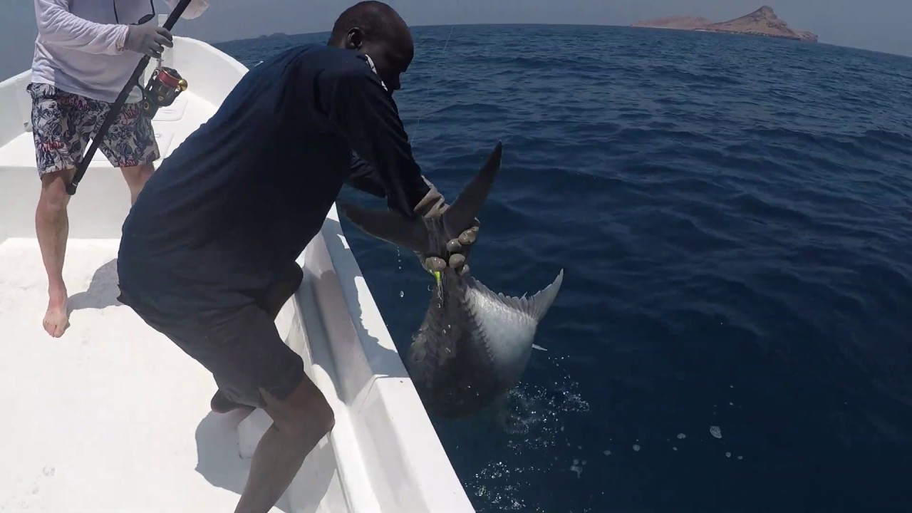 Aden Fishing - Avril 2019 - Djibouti