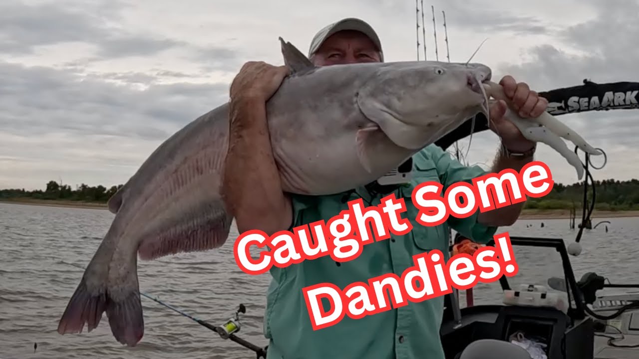 Two Half Days Of Catfishing Rolled Into One (Caught some dandies!)