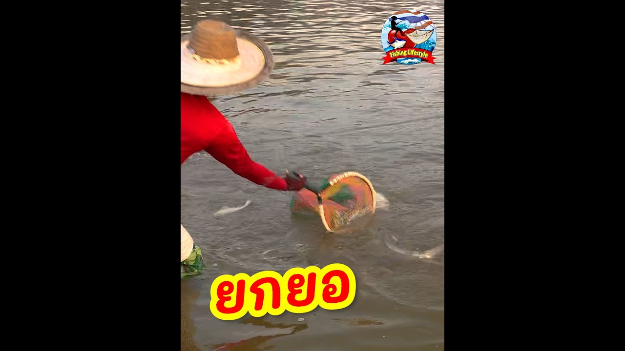 ยกยอ ได้ปลาเยอะมากมายก่ายกอง