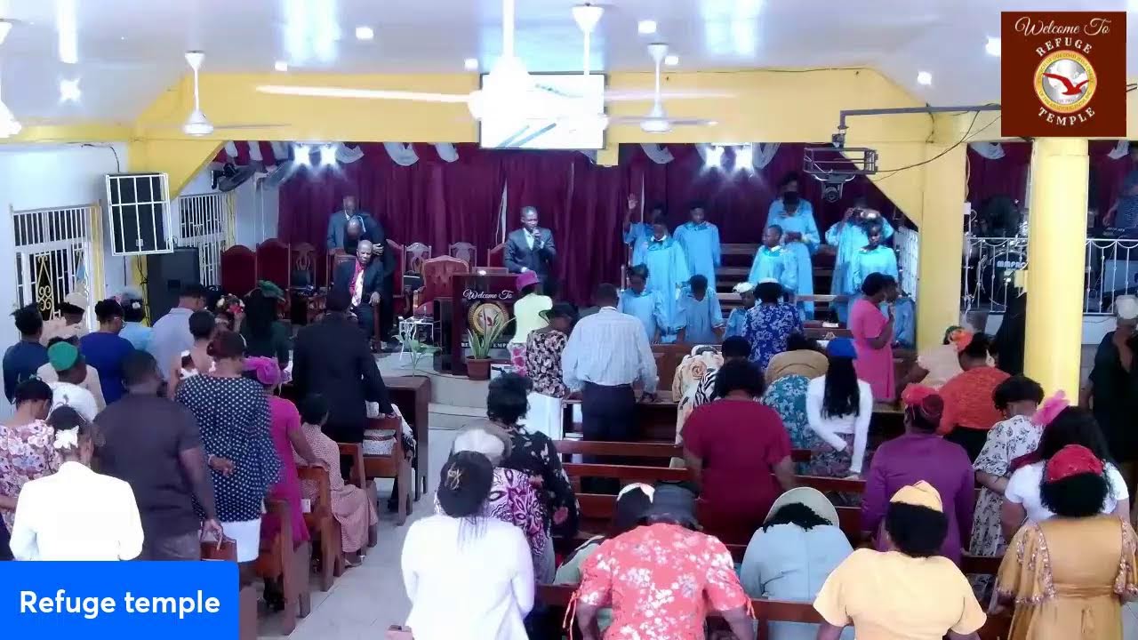 CLEAR YOUR HEAD
