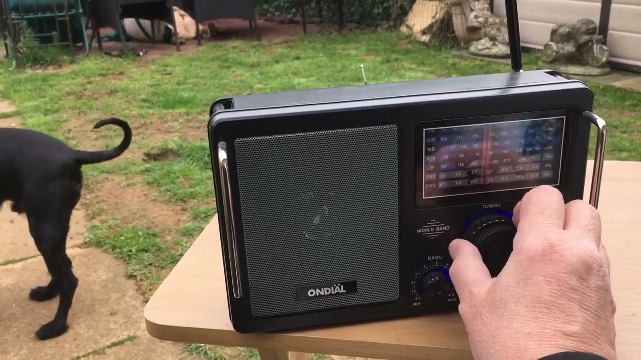 ONDIAL radio too sensitive on Airband