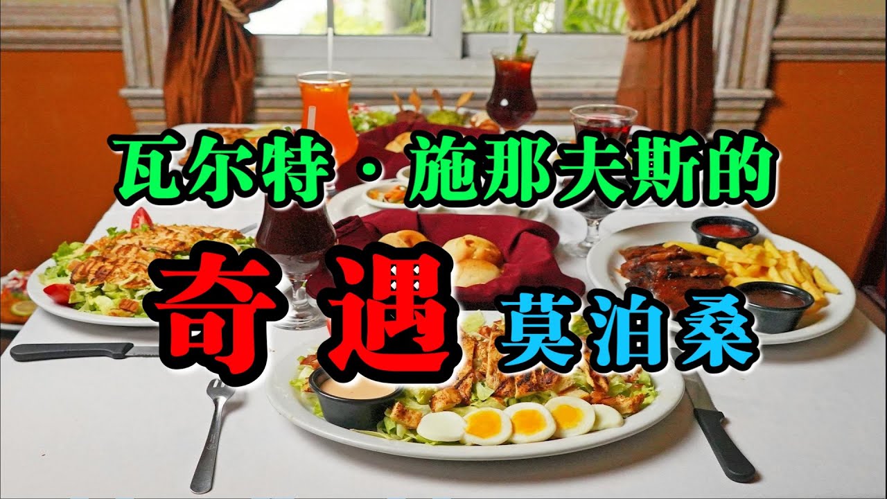 讽刺故事《瓦尔特·施那夫斯的奇遇》莫泊桑
