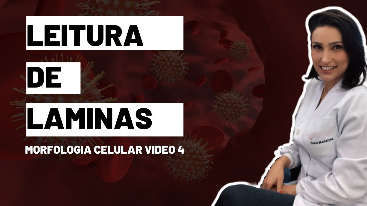 Como ler laminas hematologicas - leitura de laminas - Morfologia Celular #biomedicina #hematologia