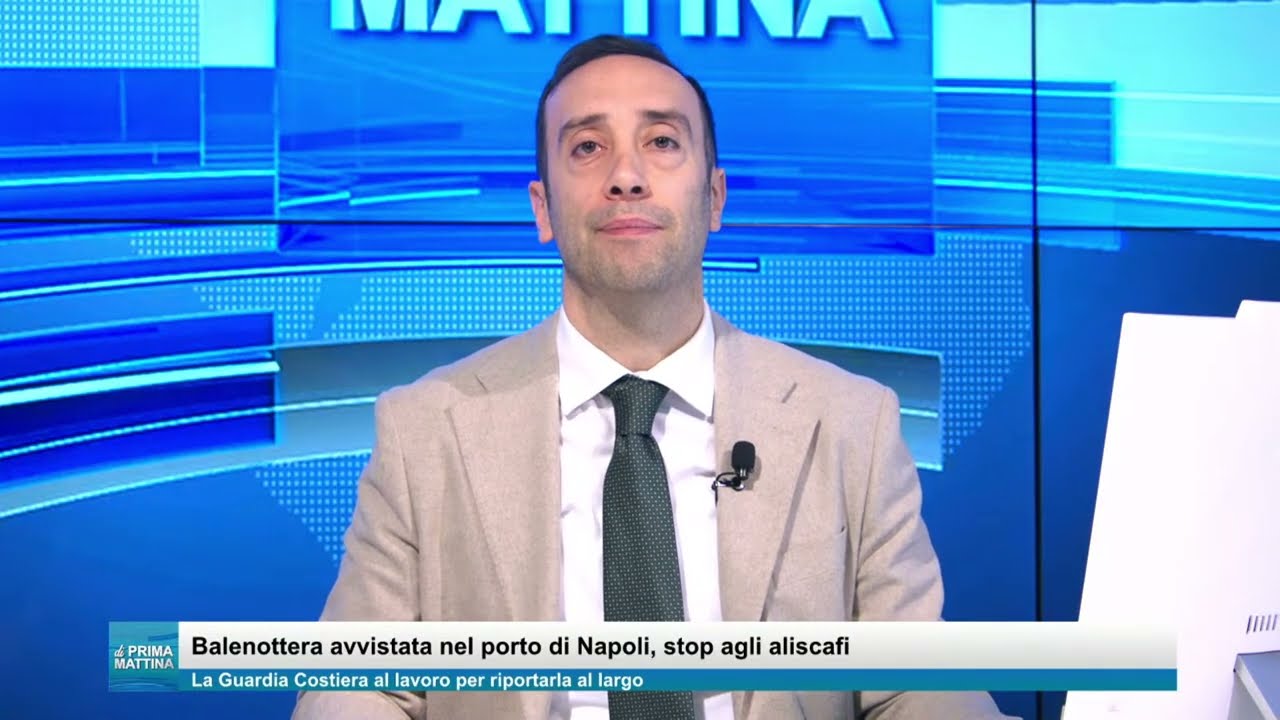 Di Prima Mattina - Mercoledì 25 febbraio | In tvseguici su Prima Tivvù canale 17