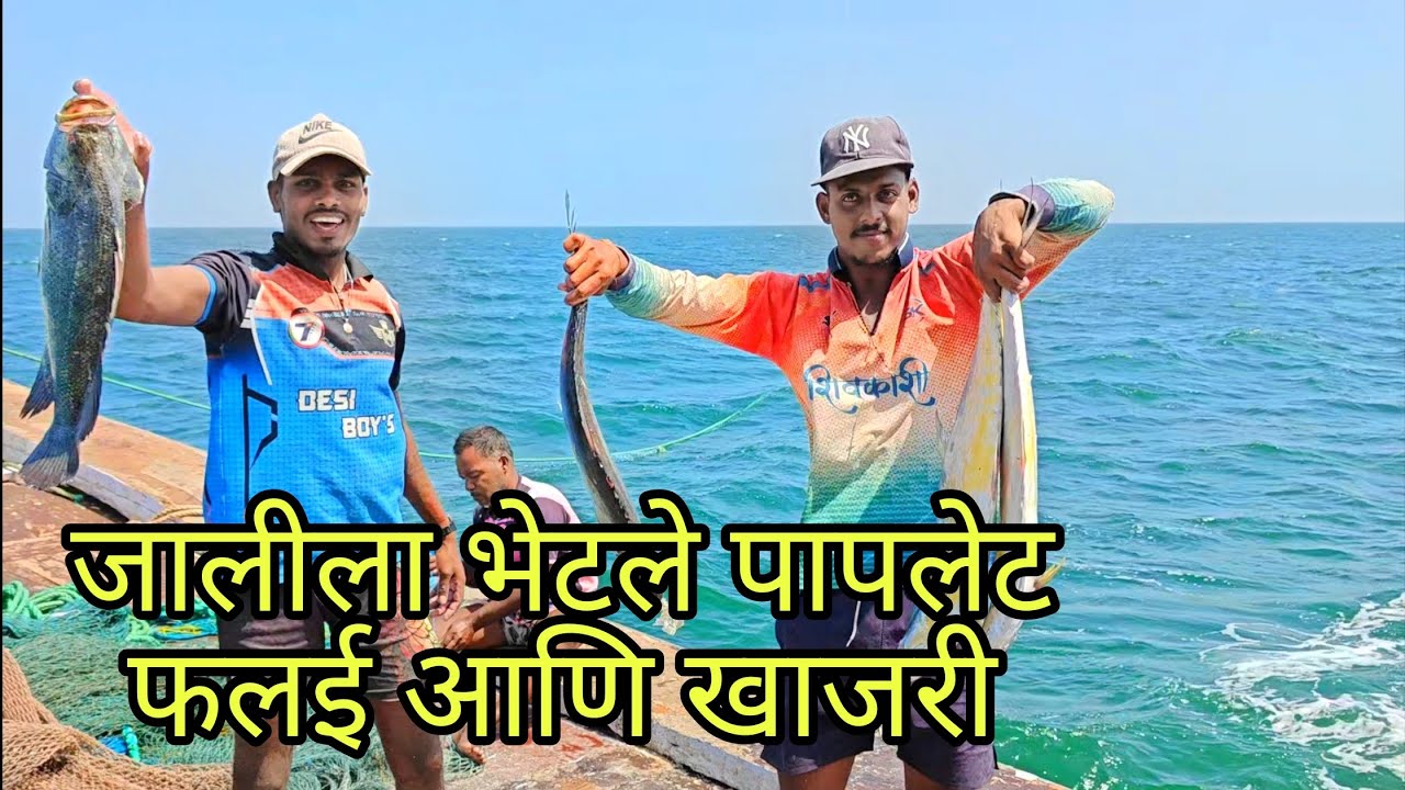 जालीला भेटले पापलेट फलई आणि खाजरी . 