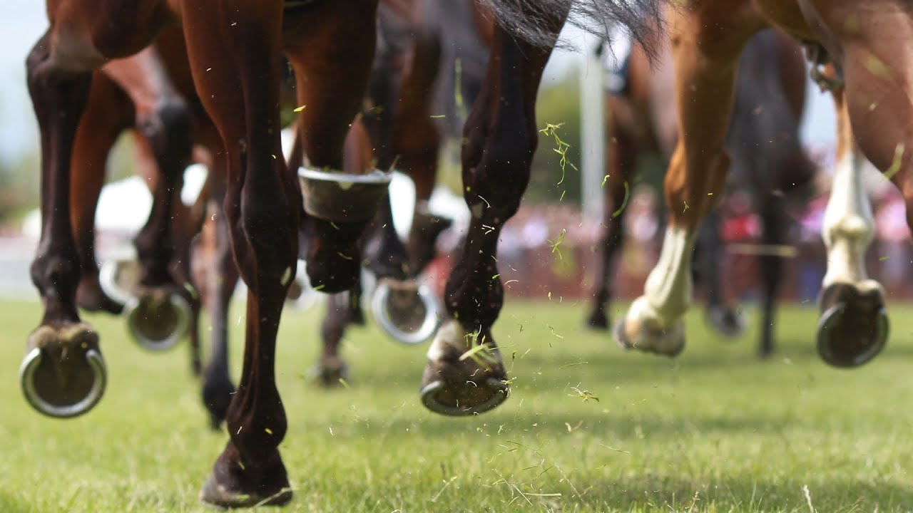 Nick Berney reveals his Rosehill Gardens top tips for this week