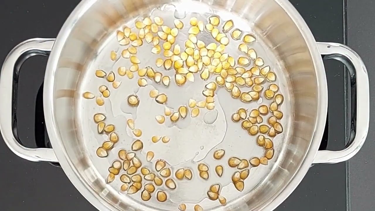 VollCorn Premium Bio Popcorn Mais Zubereitung im Topf