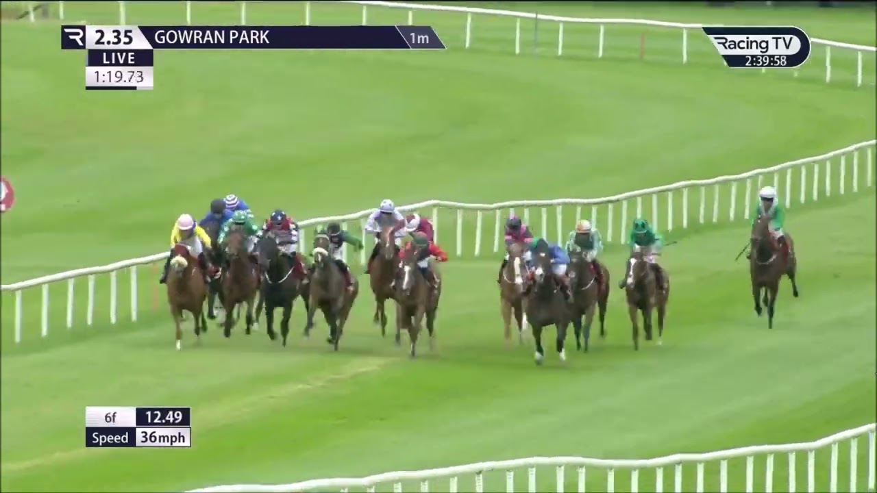 Manhattan Dandy Gowran June 3rd 2024