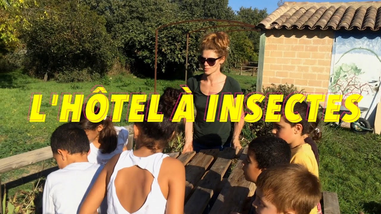 CENTRE DE LOISIRS : L'hôtel à insectes - Centre Social et Culturel l'Espelido