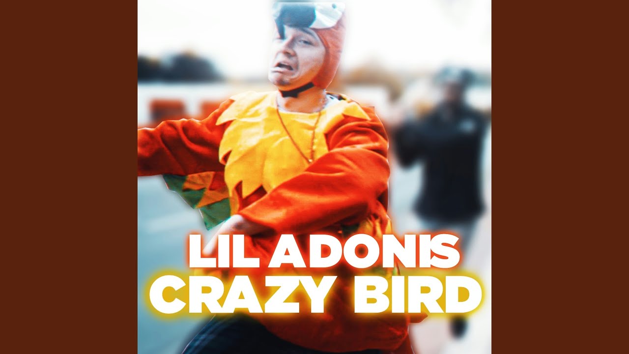 Crazy Bird