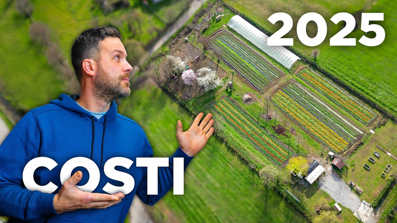 Bilancio PREVENTIVO 2025 della MIA AZIENDA AGRICOLA
