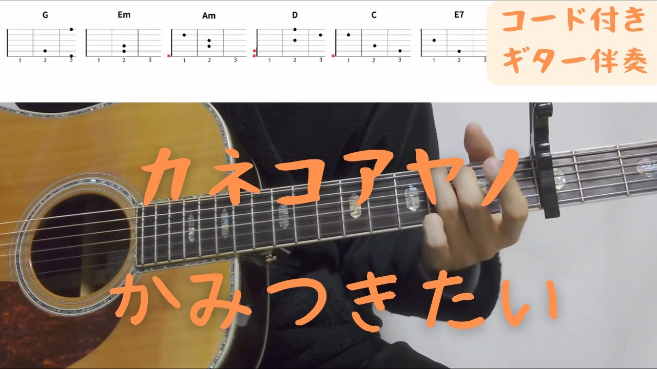 【ギターコード付き】カネコアヤノ/かみつきたい【アコギ弾いてみた】