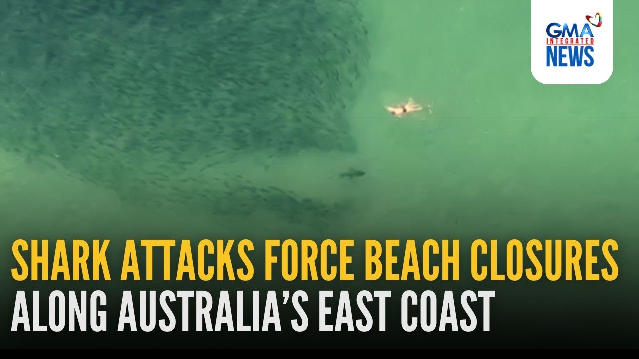 Shark attacks force beach closures along Australia’s east coast | GMA Integrated News