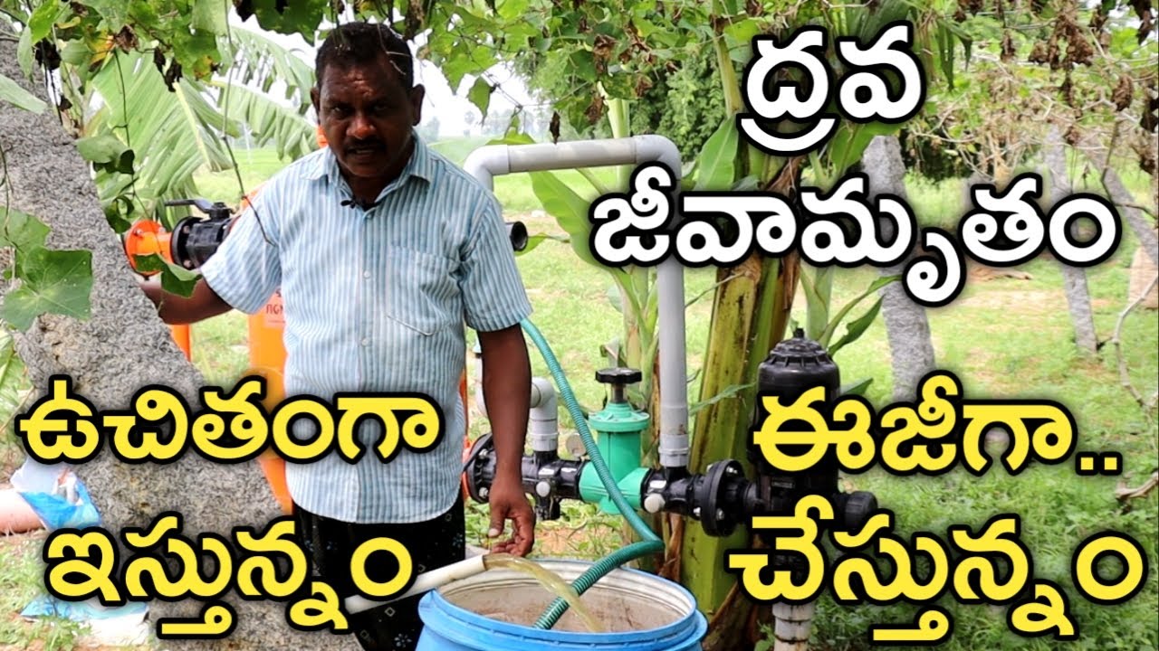 60 వేల ఖర్చుతో ద్రవ జీవామృతం యూనిట్ పెట్టుకున్నం | Cow Dung Slurry | రైతు బడి