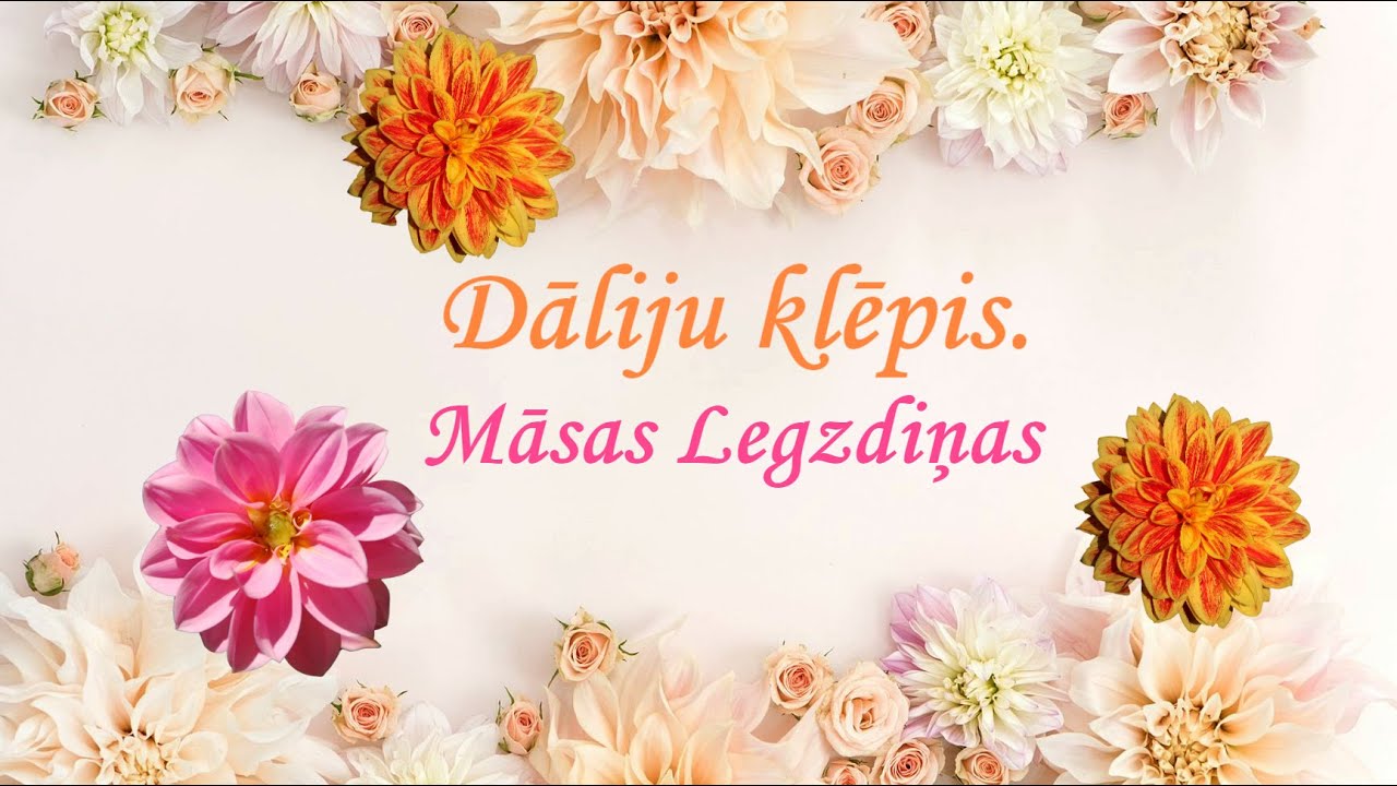 Dāliju klēpis - Māsas Legzdiņas