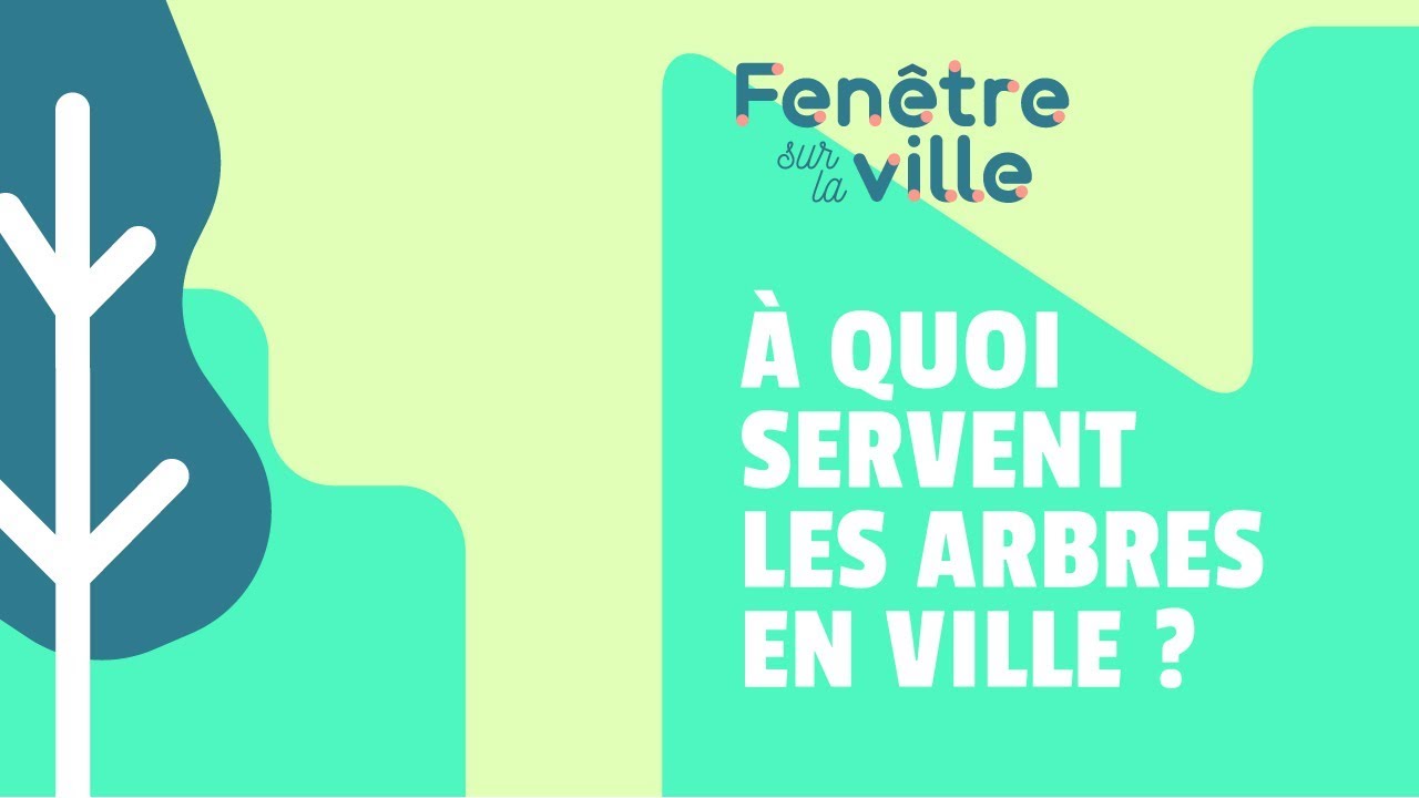 À QUOI SERVENT LES ARBRES EN VILLE ?