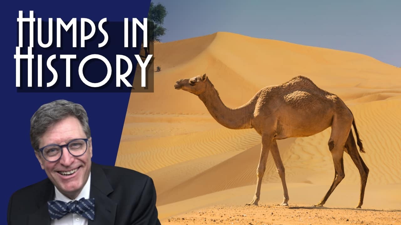 Hump:  A History of Camels