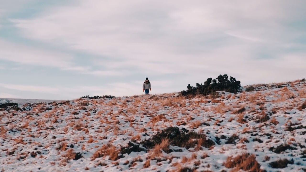 Winter Walk on the Chilled Grassland ❄️🚶&zwj;♂️