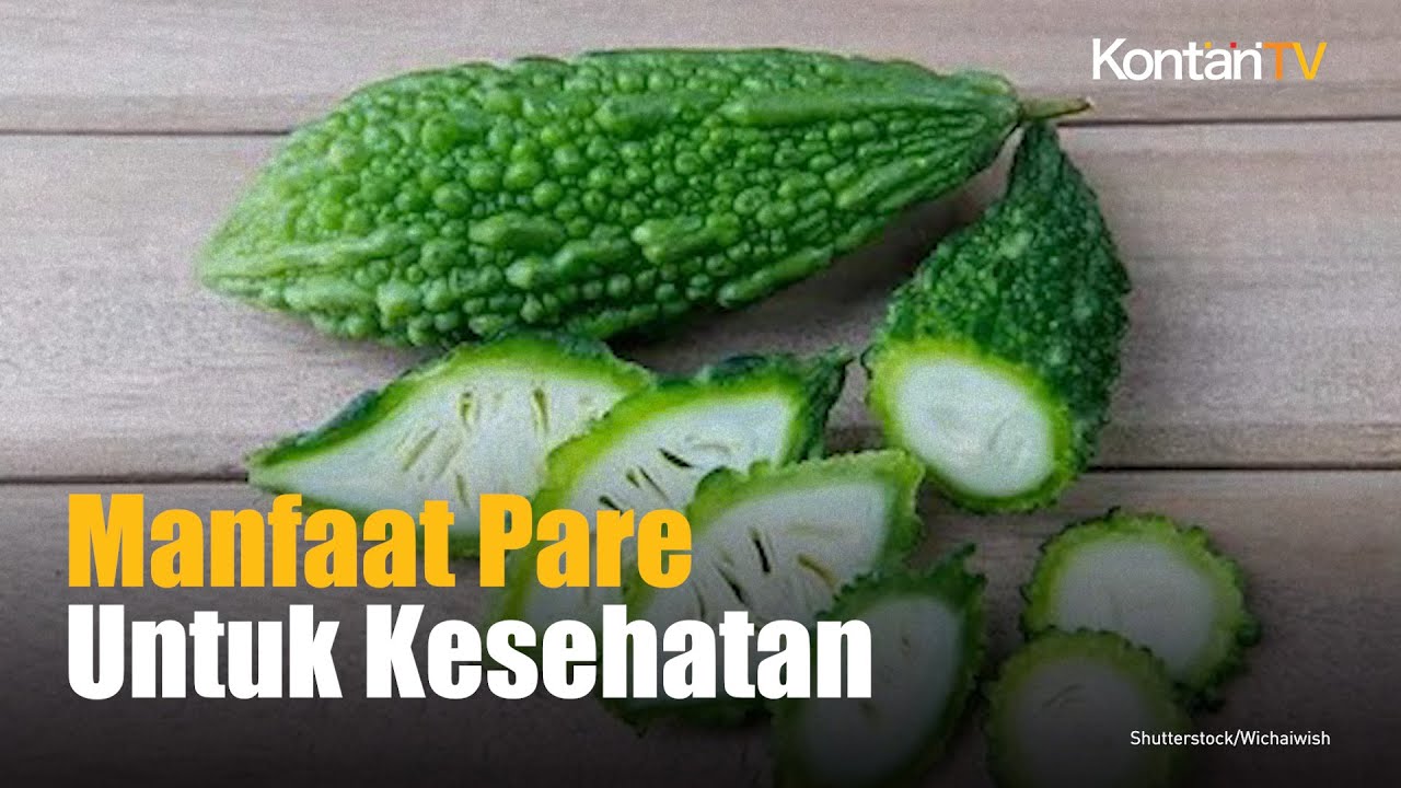 5 Manfaat Pare Untuk Kesehatan