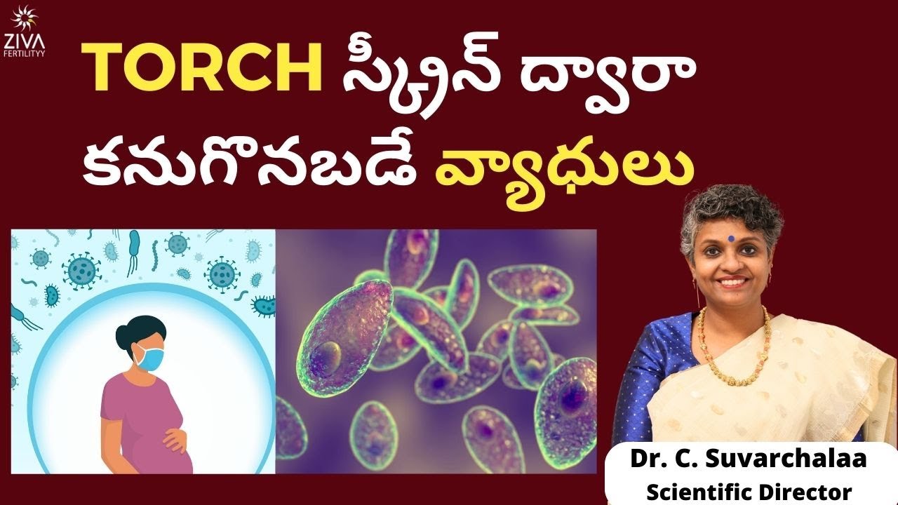 TORCH స్క్రీన్ ద్వారా || Diseases Detected By A TORCH Screen || Dr C Suvarchalaa || Ziva Fertility