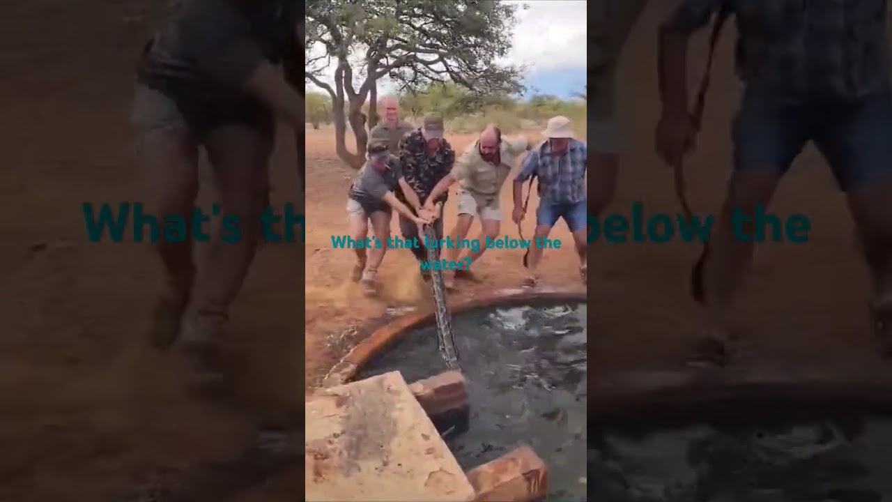 Always check before taking a dip in African waters. #python #snake #travel #wateringhole
