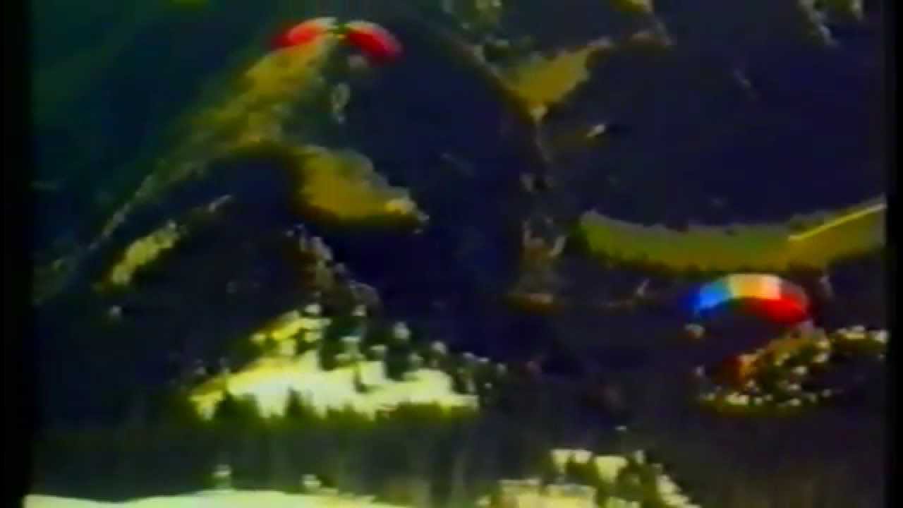 Gegenwind - film z początk&oacute;w paraglidingu